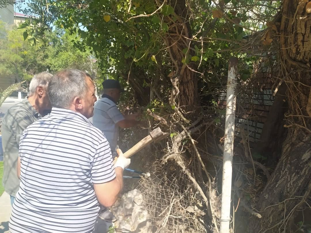 Sumqayit,Belediyyesi,Abadliq,Temizlik