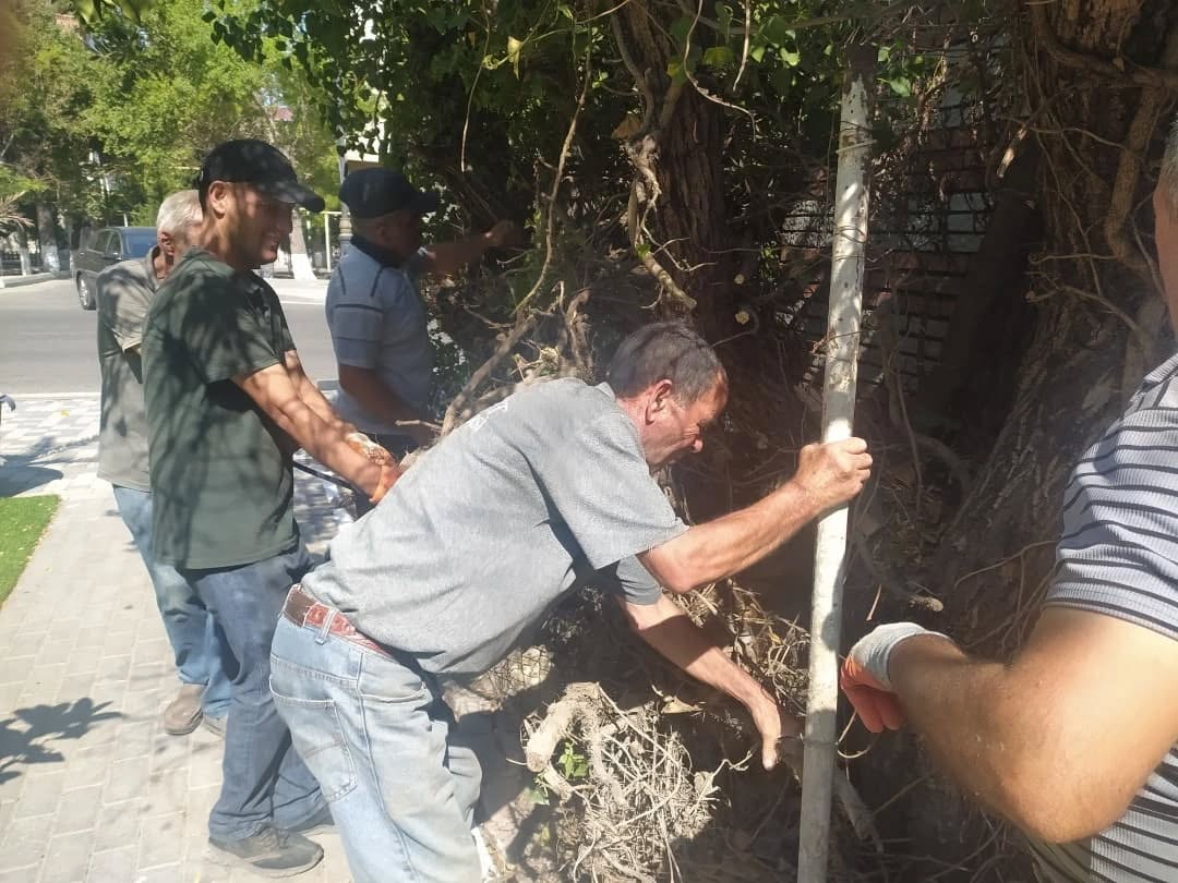 Sumqayit,Belediyyesi,Abadliq,Temizlik