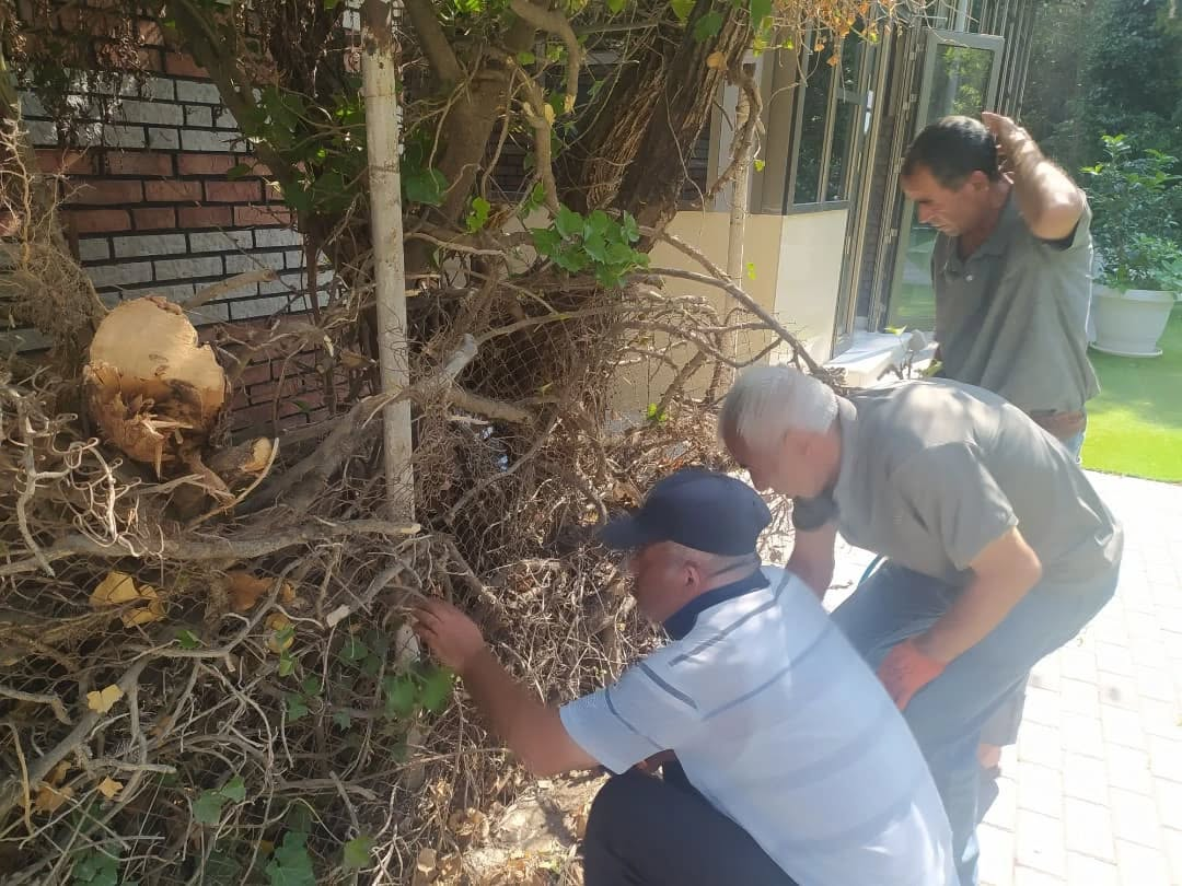 Sumqayit,Belediyyesi,Abadliq,Temizlik