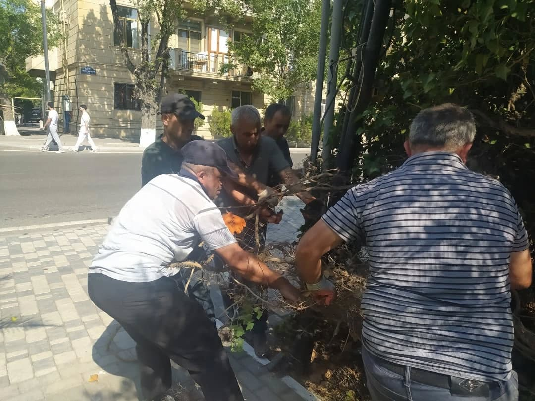 Sumqayit,Belediyyesi,Abadliq,Temizlik