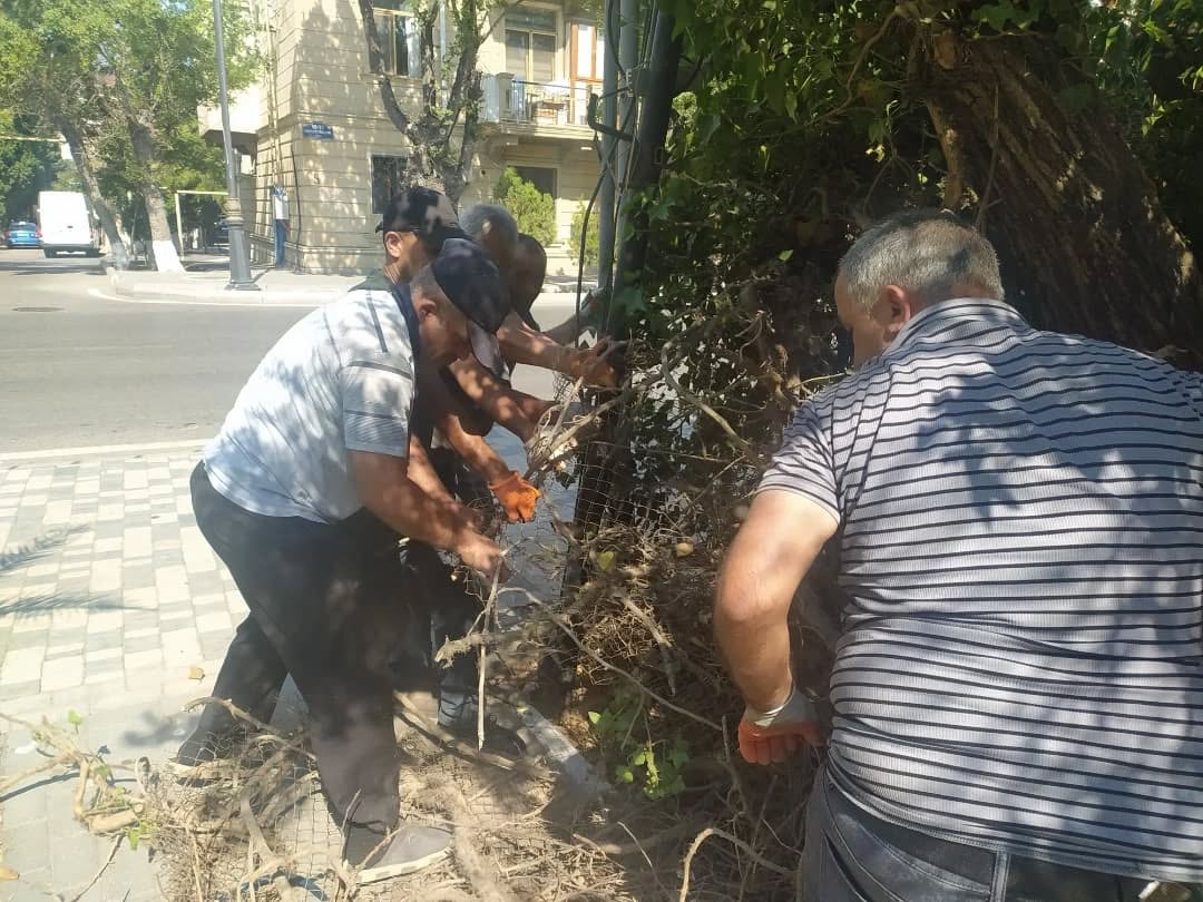 Sumqayit,Belediyyesi,Abadliq,Temizlik