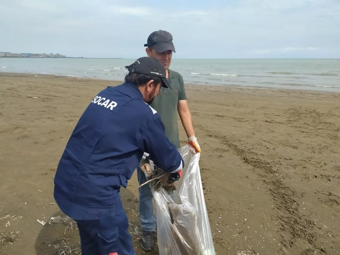 Xezer,Sumqayit,imecilik,temizlik