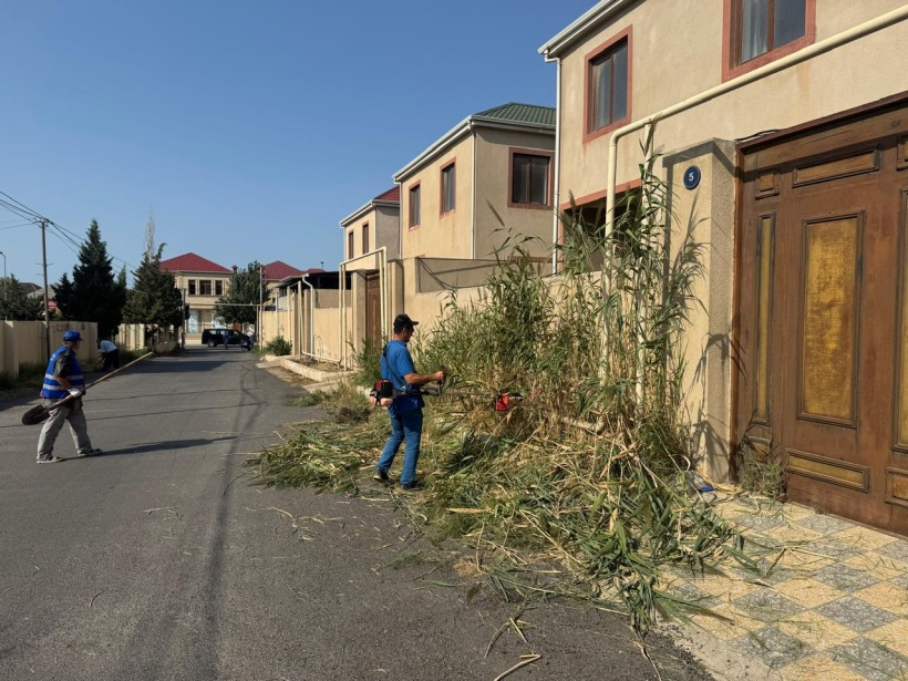 Sumqayitda,imecilik,aksiyası,Belediyye