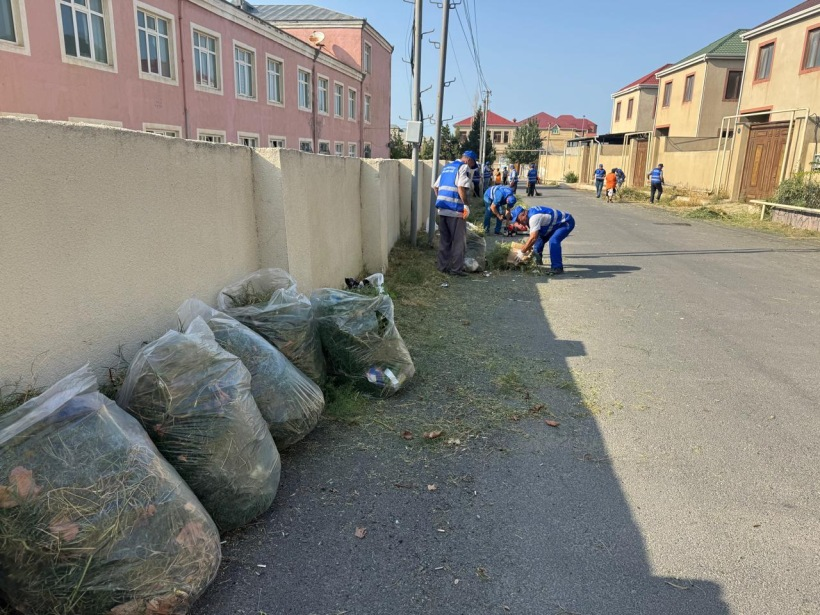 Sumqayitda,imecilik,aksiyası,Belediyye