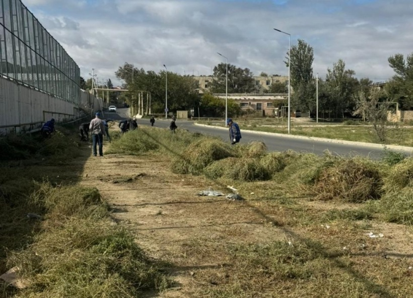 Sumqayit,abadliq,imecilik,belediyye