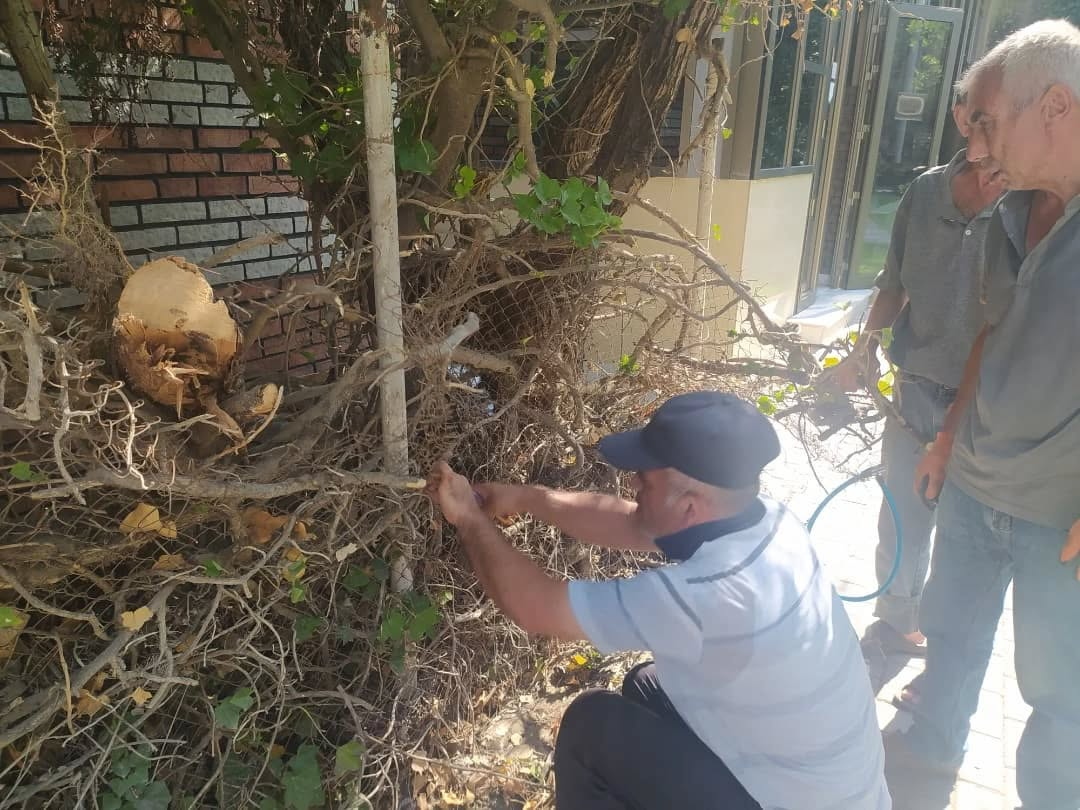 Sumqayit,Belediyyesi,Abadliq,Temizlik