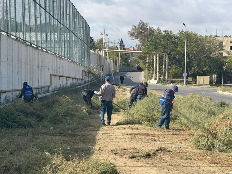 Sumqayit,abadliq,imecilik,belediyye