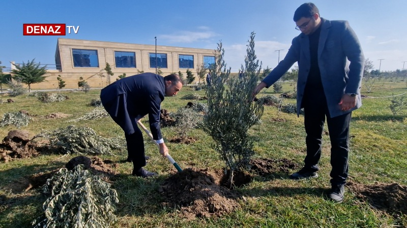 Agacekme,zefer gunu,8 noyabr,qelebe